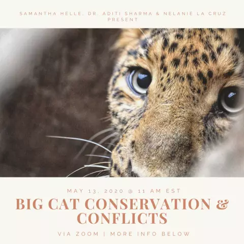 Coexistence with Nature: Human-Big Cat Interactions and Conflicts