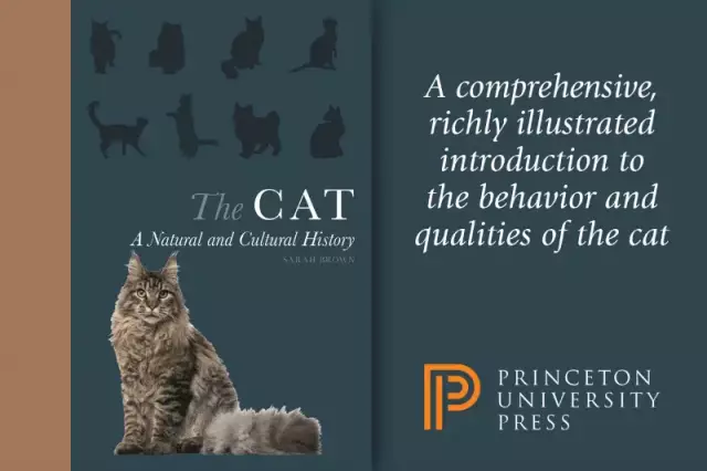 Domesticating Cats: A Historical Perspective